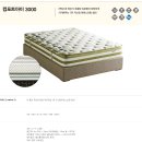 르네시떼 이미지