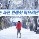 폰카로 사진 잘 찍는 방법 이미지