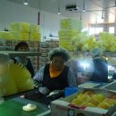 옥천군 농산물산지유통센터 이미지