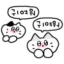 댕모아 이미지