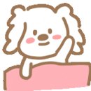 짜장세상 이미지