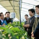 백성현 농장 이미지