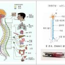 666 네트워크 시스템 이미지