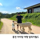 도빈월드