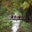 경주산림환경연구원 이미지