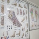 푸스케어 남포점 글림네일 이미지