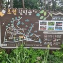 서산소나무힐링 이미지