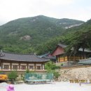 무릉도원 이미지