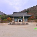 순천-44호 | 장흥여행지 천년고찰 보림사의 단풍을 보다