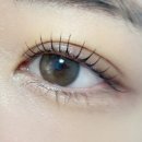 더래쉬 디자인스튜디오