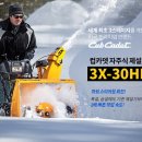 그린민박 이미지