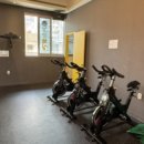 킹콩복싱아카데미 이미지