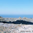 대부해솔길 1코스 이미지