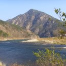 금산농협제원지점 이미지