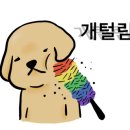 표나개 반려애견 미용실 이미지