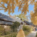 전동떡갈비앤브리즈 네이버블로그