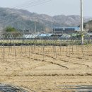 성진농장 이미지