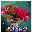 다산의 가르침을 따라 몸가짐으로 조용히 나를 다듬는다. 이미지