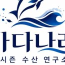 바다나라