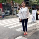 (주)아펙스여행