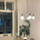 팬더 민박 이미지