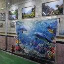 하이존1,2 이미지