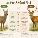 5월5일 공학여지도121 : 노루와 사슴의 차이 이미지