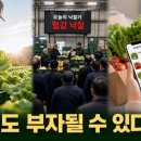 부자마을합동공인중개사사무소 | 📍[농민도 부자 될 수 있다 3편] 농산물 직거래 완벽 가이드! 로컬푸드 현황부터 스마트 스토어, 세금...