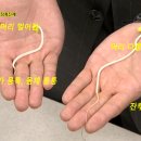 콩나물 이야기 - 집에서 길러먹기 이미지