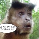 별거없는 애드센스 승인후기
