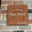 Stay Dole | [청양 에어비앤비/내돈내산]청양 알프스축제 근방 감성숙소 ‘스테이 돌레‘