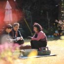 차시배지민박 이미지