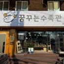 꿈꾸는수족관