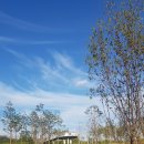 다산왕부동산공인중개사사무소 이미지