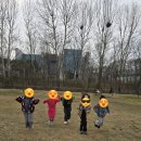 행복한발 | <행복한숲학교>주말나들이로 정말 좋았던 행복한 숲학교 후기:)!!