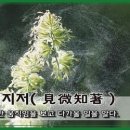 교훈글-견미지저(見微知著) 이미지