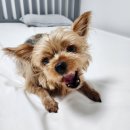 (주)에이치엔에프 이미지