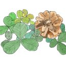 서문어린이도서관 이미지