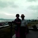 군산(목포) 이미지