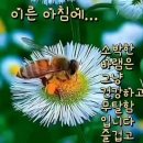 6월13일 화요일출석부 고혈압을 낮춰주는 식품 이미지