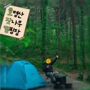 백패킹 추천 호잣캠 호명산 잣나무 캠핑장 후기