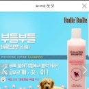 에코바겐 이미지
