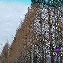 꿀도야떡갈비 이미지