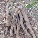 삼포농장 이미지