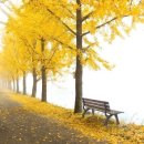 메이저요양병원 이미지