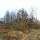 정산보건진료소1 이미지