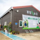 봉황자원