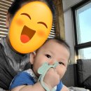 모모푸드