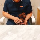 미사서울동물병원 이미지