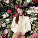 배다빈 카카오 검색결과